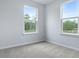 Carpeted bedroom with two windows providing ample natural light and serene views of trees at 226 Seele St, Summerville, SC 29485