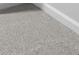 Close up of gray carpet at 226 Seele St, Summerville, SC 29485