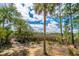 Expansive backyard features mature trees and native landscaping at 2301 N Creek Dr, Mount Pleasant, SC 29466