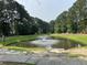 Picturesque community pond featuring a fountain, surrounded by lush trees and landscaping at 243 Trickle Dr, Summerville, SC 29483