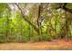 Wooded area with mature trees and natural landscaping at 300 Bucksley Ln # 102, Charleston, SC 29492