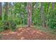Wooded backyard featuring mature trees, a peaceful retreat at 202 Hunt Club Dr, Summerville, SC 29485