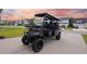 The golf cart sits on the concrete driveway with houses in the background for a suburban neighborhood feel at 223 Granton Edge Ln, Summerville, SC 29486