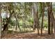 Scenic view of lush landscaping, trees and Spanish moss on a sunny day at 2500 The Bent Twig, Seabrook Island, SC 29455