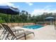 Backyard featuring an in-ground pool, patio furniture for lounging, manicured lawn, and mature trees at 256 Fiddleback Dr, Summerville, SC 29486
