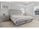 Bedroom featuring a tray ceiling, two large windows, and neutral decor at 256 Fiddleback Dr, Summerville, SC 29486