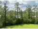 View from the backyard overlooking the mature trees and foliage at 3016 Evening Tide Dr, Hanahan, SC 29410