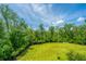 Expansive backyard features a lush green lawn and mature trees, perfect for outdoor activities at 3016 Evening Tide Dr, Hanahan, SC 29410