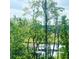 View from the backyard overlooking the mature trees and foliage with a gazebo at 3016 Evening Tide Dr, Hanahan, SC 29410
