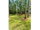 A well manicured backyard surrounded by trees with a wooden fence at 405 Simmons Ave, Summerville, SC 29483