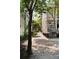 Long driveway offering privacy and a sense of arrival, lined with trees and lush foliage at 8 Pitt St # A, Charleston, SC 29401