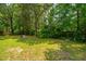 Green backyard with mature trees and a fire pit area, perfect for entertaining at 8507 William Moultrie Dr, North Charleston, SC 29420