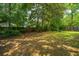 View of a spacious backyard with lush green lawn and mature trees at 8507 William Moultrie Dr, North Charleston, SC 29420