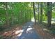 Picturesque walking path through a lush forest, offering a peaceful and scenic outdoor experience at 100 Conset Bay Ct, Goose Creek, SC 29445
