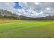 Scenic view of a serene pond surrounded by lush greenery and tall trees, offering a peaceful and natural setting at 117 Oyster Tide Ave, Summerville, SC 29485