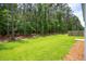 Expansive, tree-lined backyard provides ample space and privacy at 139 Sunray Ln, Summerville, SC 29486