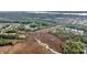 Aerial view of homes surrounded by lush greenery and scenic waterways at 160 Palm Cove Way, Mount Pleasant, SC 29466