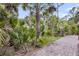 Charming brick path meandering through lush palm trees, creating a serene and inviting landscape at 160 Palm Cove Way, Mount Pleasant, SC 29466