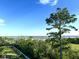 Scenic view of a marsh and waterway from a backyard with green grass and a tall pine tree at 1714 Fort Palmetto Cir, Mount Pleasant, SC 29466