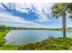 Scenic lake view with greenery, townhouses in the background, and a sunny sky at 1751 Brittlebush Ln, Johns Island, SC 29455