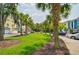 Picturesque lawn area featuring mature palm trees, shrubbery, and colorful townhomes at 2000 Belle Isle Ave # 204, Mount Pleasant, SC 29464