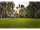 Expansive grassy backyard with mature trees and landscaping, offering privacy and space at 2040 Shell Ring Cir, Mount Pleasant, SC 29466