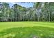 Large grassy backyard surrounded by mature trees at 2040 Shell Ring Cir, Mount Pleasant, SC 29466