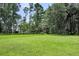 Expansive green backyard offering privacy and serenity at 2040 Shell Ring Cir, Mount Pleasant, SC 29466
