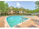 Beautiful community swimming pool surrounded by palm trees and lounge chairs for relaxation at 260 Seven Farms Dr # 306, Charleston, SC 29492