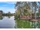 Picturesque view of a lake with a pier and covered sitting area surrounded by trees at 312 Greenhouse, Summerville, SC 29485