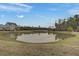 A beautiful, serene pond reflecting a lovely gray home and surrounding trees under a bright blue sky at 312 Greenhouse, Summerville, SC 29485