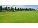 Grassy backyard with mature trees and lush landscaping bordering the property line at 344 Seaside Trl, Summerville, SC 29486