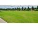 Manicured backyard with plush green grass and mature landscaping bordering the property at 344 Seaside Trl, Summerville, SC 29486