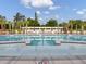 Beautiful community pool featuring lounge chairs, umbrellas, and palm trees creating a resort-like atmosphere at 351 Gnarly Oak Ln, Summerville, SC 29485