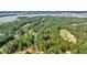 Aerial view showcasing tree-lined streets, golf course, and surrounding landscape at 3555 Colonel Vanderhorst Cir, Mount Pleasant, SC 29466
