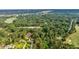 Aerial shot of a home nestled among towering trees and a lush green lawn at 3555 Colonel Vanderhorst Cir, Mount Pleasant, SC 29466