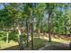 Lush backyard featuring mature trees and vibrant greenery at 4067 S Rhett Ave, North Charleston, SC 29405