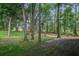 Lush backyard featuring towering trees and verdant grass at 4067 S Rhett Ave, North Charleston, SC 29405