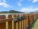 Home's backyard with a wooden fence and treeline view at 470 Sanctuary Park Dr, Summerville, SC 29486