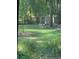 Scenic backyard featuring a squirrel among well-maintained lawn, shrubs, and fencing at 5423 Buckeye Rd, Hollywood, SC 29449