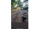 Large backyard with many mature trees, featuring dogs running in the yard at 5423 Buckeye Rd, Hollywood, SC 29449