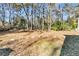 Large backyard featuring mature trees, with a basketball hoop at 62 Wexford Way, Walterboro, SC 29488