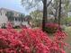 Beautiful home exterior with lush azalea bushes in the front yard at 7879 Gull Bay Dr, Awendaw, SC 29429