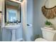 Well-lit bathroom with a pedestal sink, modern mirror, and decorative wall hanging at 8938 Planters Row Ln, Summerville, SC 29485