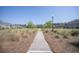 Tree lined sidewalks leading to community pavilion and amenity center at 106 Sago Ct, Summerville, SC 29486