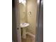 Charming half bathroom with a pedestal sink, mirror, and modern fixtures at 126 Woodward Rd, Goose Creek, SC 29445