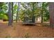 Backyard view showing a trampoline surrounded by mature trees and pine needles at 1446 Burningtree Rd, Charleston, SC 29412