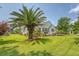 Beautiful backyard featuring a large palm tree, a well-manicured lawn, and the home's exterior at 1800 Palmetto Isle Dr, Mount Pleasant, SC 29466
