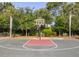 Outdoor basketball court featuring well-maintained court, surrounded by lush green landscaping and tall palm trees at 1800 Palmetto Isle Dr, Mount Pleasant, SC 29466