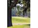 Scenic golf course view featuring a lush green fairway with a flag, showcasing community recreational space at 1800 Palmetto Isle Dr, Mount Pleasant, SC 29466